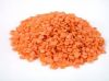 Sell red lentils