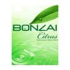 Bonzai Citrus