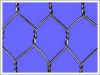 Sell   Hexagonal Wire Netting