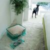 Sell acrylic pet bed & dining table