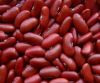 Sell High Quality Red Kidney Beans