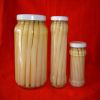 Sell Canned White Asparagus