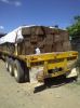 Selling of legally sawed precious woods from atlantic of Nicaragua