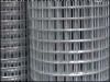 Sell Galvanized welded wire mesh