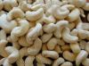 Sell Cashew