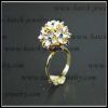Fashion Jewelry Rings Wholesale Jewelry Rings (Hatch-R00142)