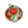 apple fruit-shaped bath sponge  SPG-105