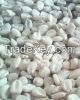 Sell White Non GMO Maize