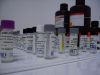 Sell Human basic fibroblast growth factor 6 ELISA Kit