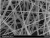 we sell the silver nanowires