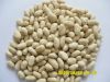 Sell blanched peanut kernels