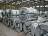 Hot dipped galvanized steel coil / GI