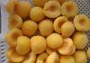 Sell canned yellow peach