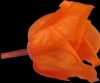 seel high-tech preserved flower rose