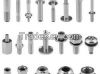 Stainless Steel 304 Fastener