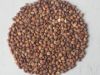 Sell Roasted buckwheat Kernels