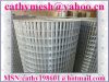 Sell galvanized welded wire mesh