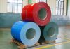 Supply prepainted galvanized steel coil