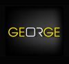 GEORGE STONE Manufactured Stone for both In/Outdoor Wall Decoration