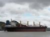 Sell New bulk Carrier 10800 DWT, Cargo ships