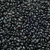 Sell black kidney beans, black beans, black turtle beans