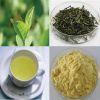Sell Instant Green Tea Powder