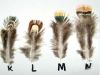 The duck feathers for natural hair, the hair ExtensionsFeather Feathe