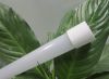 Sell LED T8 Tube Light