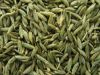 Sell cummin seeds, fennel seeds