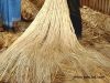 Sell Raw Jute Fibre