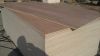 Sell Commercial Plywood with 'Indoply' brand