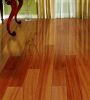 Sell solid hardwood flooring