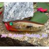 Sell 2011 new hard plastic fishing lure