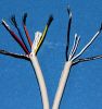 Sell 10 core ECG cable