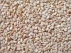 Sell Natural sesame seed