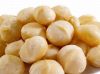 Sell Mecadamia nuts, cashew nuts, bolts
