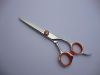 hair scissors / hairdressing shears