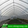 Sell Greenhouse