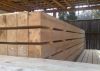 Sell Pine timber