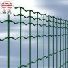 Sell Euro panel fence netting