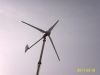 Sell 1kw wind power/wind turbine generator