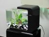 Mini Aquarium, samll fish tank, acrylic aquarium