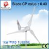 Sell green energy for 1kw wind turbine