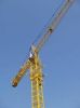 Manufacturing Tower Crane D160