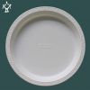 Sell biodegradable disposable plate