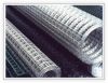 Sell  Welded Wire Mesh