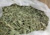 Sell Steiva Dry Leaves ($2.1/kg-$3.8/kg)