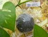 Sell konjac sponge bamboo charcoal