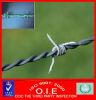 barbed wire