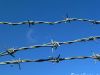 Sell Barbed Wire 001